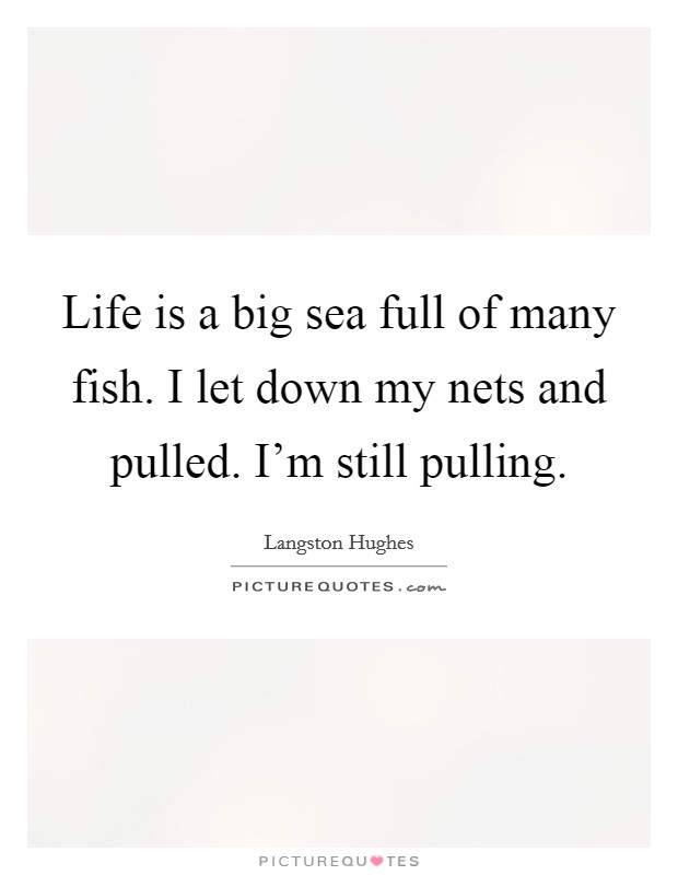 Life is a big sea full of many fish. I let down my nets and pulled. I'm still pulling. Picture Quote #1