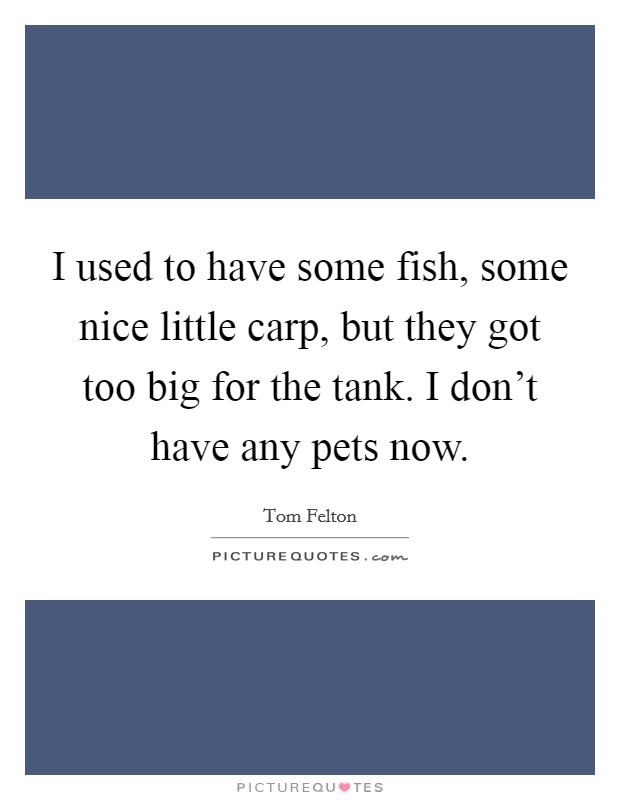 I used to have some fish, some nice little carp, but they got too big for the tank. I don't have any pets now. Picture Quote #1