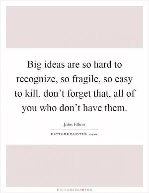 Big ideas are so hard to recognize, so fragile, so easy to kill. don’t forget that, all of you who don’t have them Picture Quote #1