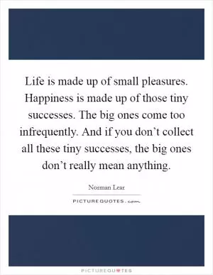 Life is made up of small pleasures. Happiness is made up of those tiny successes. The big ones come too infrequently. And if you don’t collect all these tiny successes, the big ones don’t really mean anything Picture Quote #1