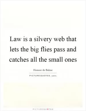 Law is a silvery web that lets the big flies pass and catches all the small ones Picture Quote #1