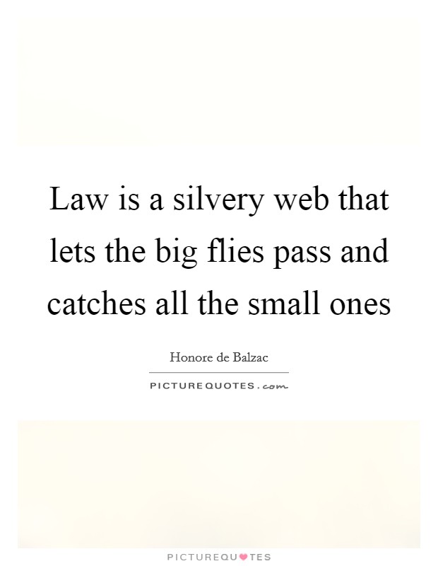 Law is a silvery web that lets the big flies pass and catches all the small ones Picture Quote #1