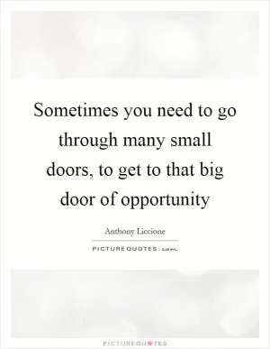 Sometimes you need to go through many small doors, to get to that big door of opportunity Picture Quote #1