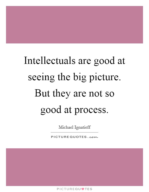 Intellectuals are good at seeing the big picture. But they are not so good at process. Picture Quote #1