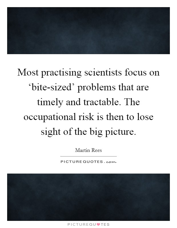 Most practising scientists focus on ‘bite-sized' problems that are timely and tractable. The occupational risk is then to lose sight of the big picture. Picture Quote #1