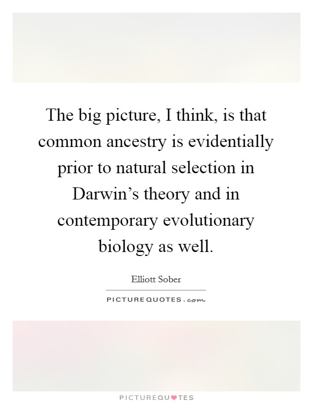 The big picture, I think, is that common ancestry is evidentially prior to natural selection in Darwin's theory and in contemporary evolutionary biology as well. Picture Quote #1