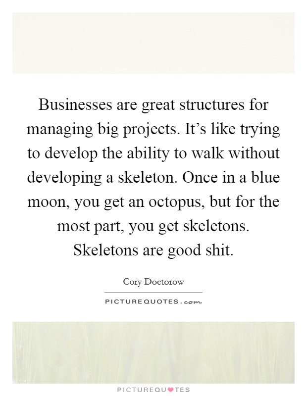 Businesses are great structures for managing big projects. It's like trying to develop the ability to walk without developing a skeleton. Once in a blue moon, you get an octopus, but for the most part, you get skeletons. Skeletons are good shit. Picture Quote #1