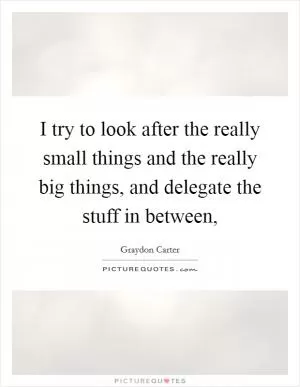 I try to look after the really small things and the really big things, and delegate the stuff in between, Picture Quote #1