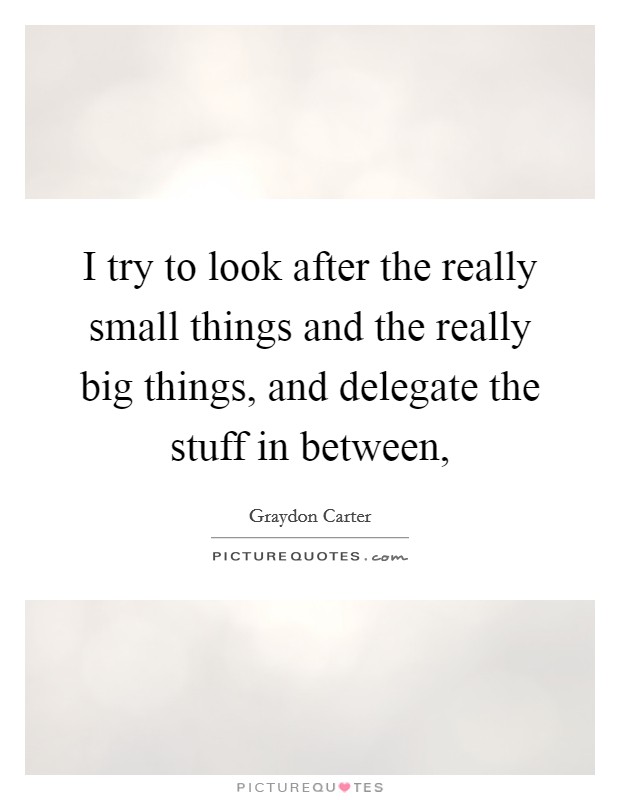 I try to look after the really small things and the really big things, and delegate the stuff in between, Picture Quote #1