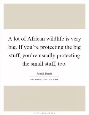 A lot of African wildlife is very big. If you’re protecting the big stuff, you’re usually protecting the small stuff, too Picture Quote #1