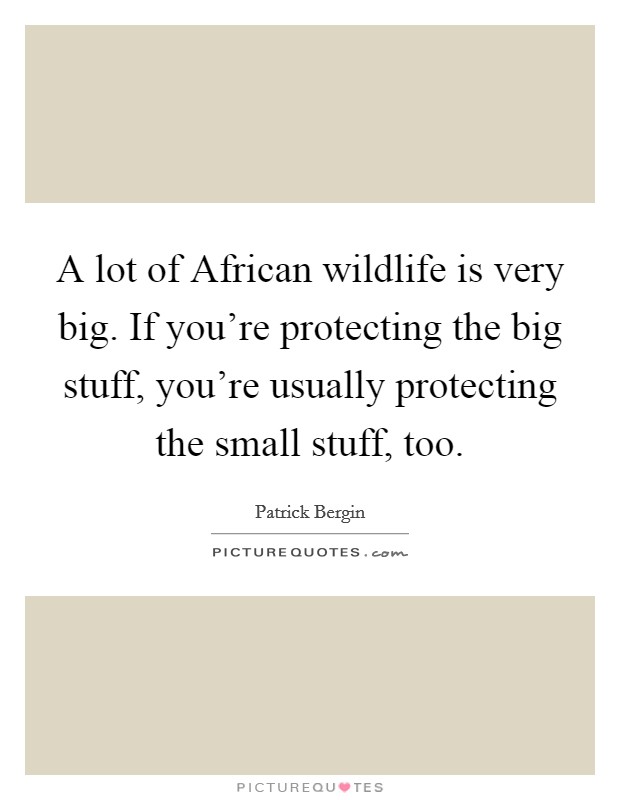 A lot of African wildlife is very big. If you're protecting the big stuff, you're usually protecting the small stuff, too. Picture Quote #1
