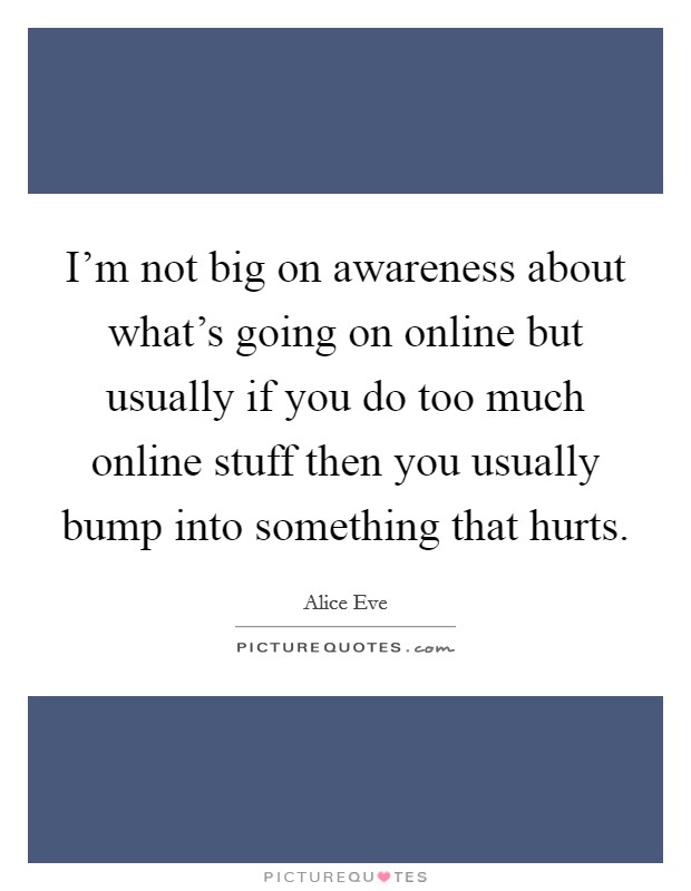 I'm not big on awareness about what's going on online but usually if you do too much online stuff then you usually bump into something that hurts. Picture Quote #1