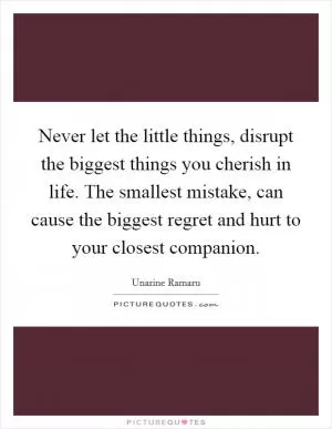 Never let the little things, disrupt the biggest things you cherish in life. The smallest mistake, can cause the biggest regret and hurt to your closest companion Picture Quote #1