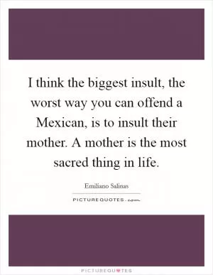 I think the biggest insult, the worst way you can offend a Mexican, is to insult their mother. A mother is the most sacred thing in life Picture Quote #1