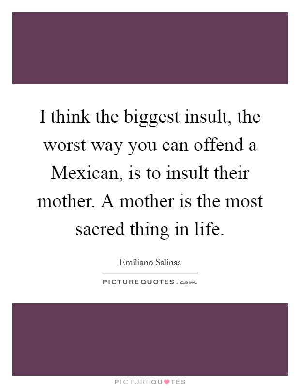 I think the biggest insult, the worst way you can offend a Mexican, is to insult their mother. A mother is the most sacred thing in life. Picture Quote #1