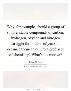 Why, for example, should a group of simple, stable compounds of carbon, hydrogen, oxygen and nitrogen struggle for billions of years to organise themselves into a professor of chemistry? What’s the motive? Picture Quote #1