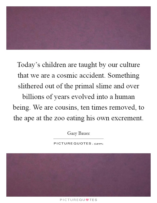 Today's children are taught by our culture that we are a cosmic accident. Something slithered out of the primal slime and over billions of years evolved into a human being. We are cousins, ten times removed, to the ape at the zoo eating his own excrement. Picture Quote #1