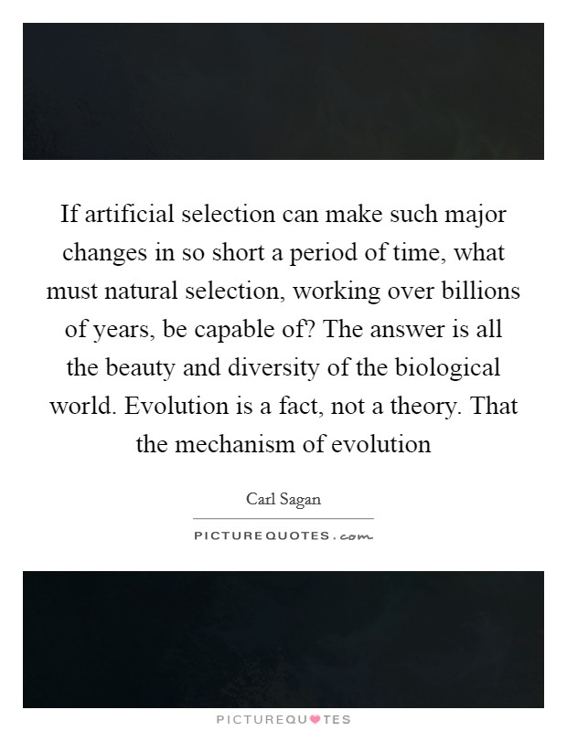 If artificial selection can make such major changes in so short a period of time, what must natural selection, working over billions of years, be capable of? The answer is all the beauty and diversity of the biological world. Evolution is a fact, not a theory. That the mechanism of evolution Picture Quote #1