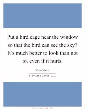 Put a bird cage near the window so that the bird can see the sky? It’s much better to look than not to, even if it hurts Picture Quote #1