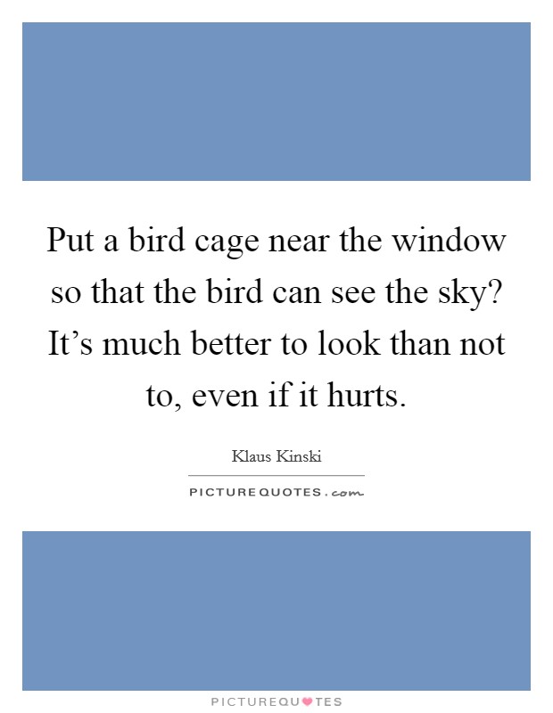 Put a bird cage near the window so that the bird can see the sky? It's much better to look than not to, even if it hurts. Picture Quote #1