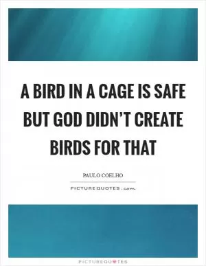 A bird in a cage is safe but God didn’t create birds for that Picture Quote #1