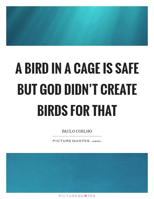 A bird in a cage is safe but God didn't create birds for that Picture Quote #1