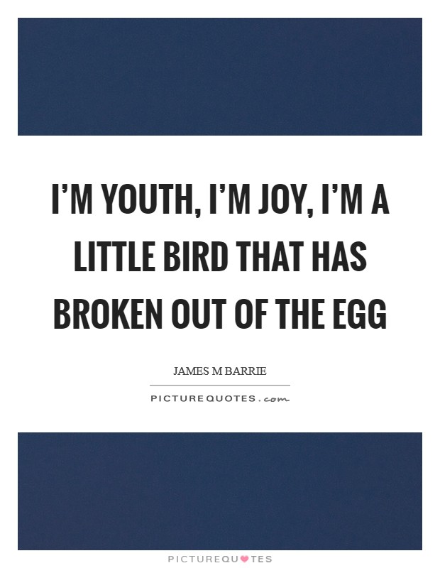 I'm youth, I'm joy, I'm a little bird that has broken out of the egg Picture Quote #1