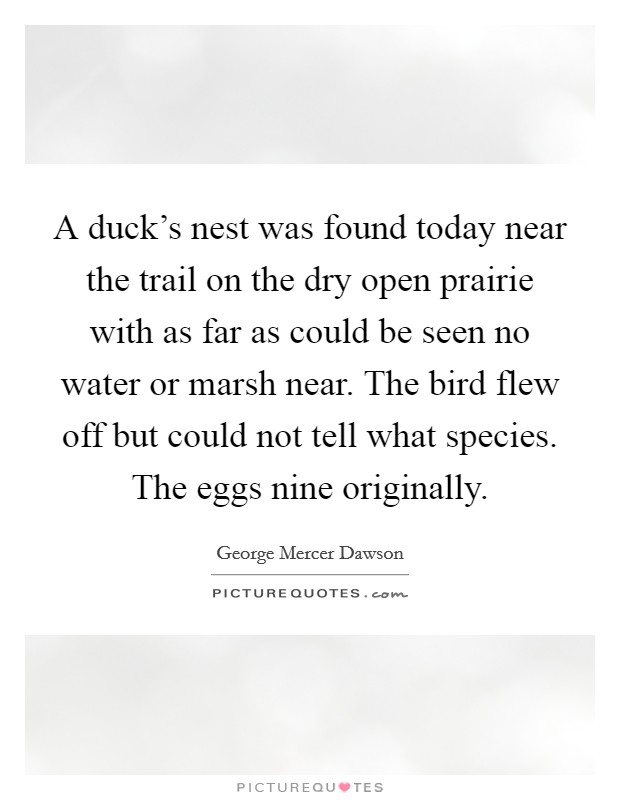 A duck's nest was found today near the trail on the dry open prairie with as far as could be seen no water or marsh near. The bird flew off but could not tell what species. The eggs nine originally. Picture Quote #1