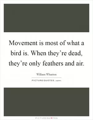 Movement is most of what a bird is. When they’re dead, they’re only feathers and air Picture Quote #1