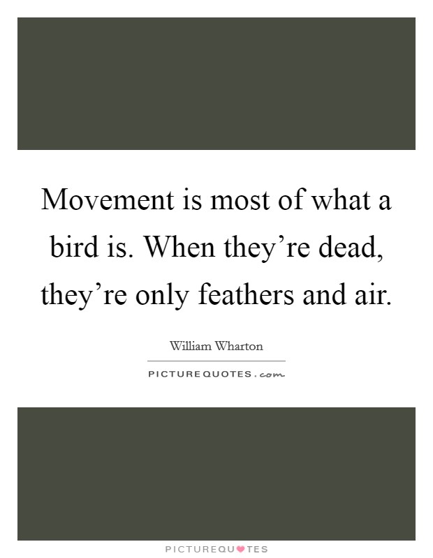 Movement is most of what a bird is. When they're dead, they're only feathers and air. Picture Quote #1