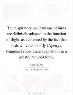 The respiratory mechanisms of birds are definitely adapted to the function of flight, as evidenced by the fact that birds which do not fly (Apteryx, Penguins) show these adaptations in a greatly reduced form Picture Quote #1