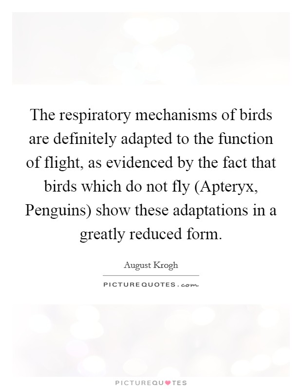 The respiratory mechanisms of birds are definitely adapted to the function of flight, as evidenced by the fact that birds which do not fly (Apteryx, Penguins) show these adaptations in a greatly reduced form. Picture Quote #1