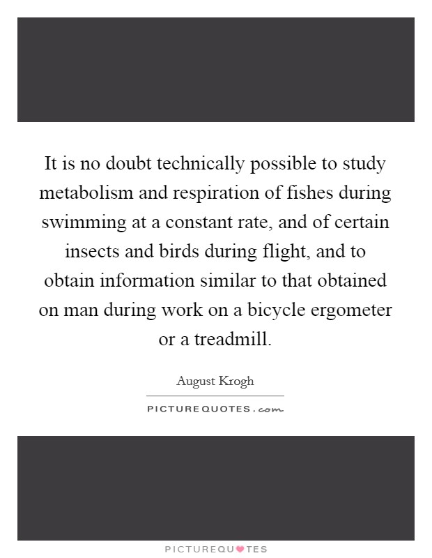 It is no doubt technically possible to study metabolism and respiration of fishes during swimming at a constant rate, and of certain insects and birds during flight, and to obtain information similar to that obtained on man during work on a bicycle ergometer or a treadmill. Picture Quote #1