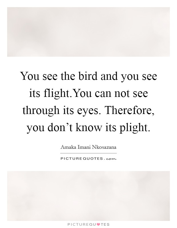 You see the bird and you see its flight.You can not see through its eyes. Therefore, you don't know its plight. Picture Quote #1