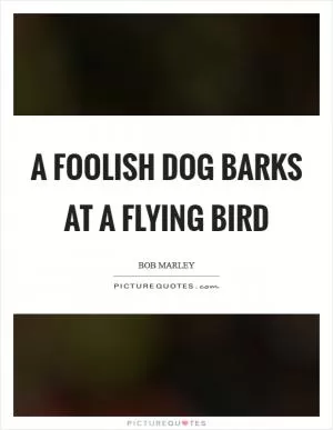 A foolish dog barks at a flying bird Picture Quote #1