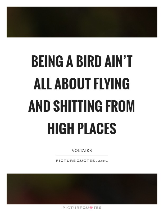 Being a bird ain't all about flying and shitting from high places Picture Quote #1