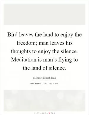 Bird leaves the land to enjoy the freedom; man leaves his thoughts to enjoy the silence. Meditation is man’s flying to the land of silence Picture Quote #1