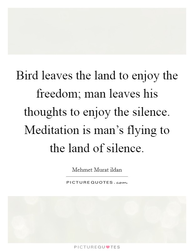 Bird leaves the land to enjoy the freedom; man leaves his thoughts to enjoy the silence. Meditation is man's flying to the land of silence. Picture Quote #1