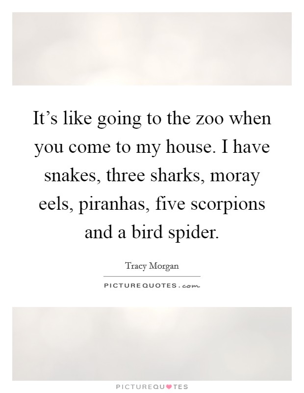 It's like going to the zoo when you come to my house. I have snakes, three sharks, moray eels, piranhas, five scorpions and a bird spider. Picture Quote #1