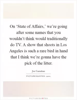 On ‘State of Affairs,’ we’re going after some names that you wouldn’t think would traditionally do TV. A show that shoots in Los Angeles is such a rare bird in hand that I think we’re gonna have the pick of the litter Picture Quote #1