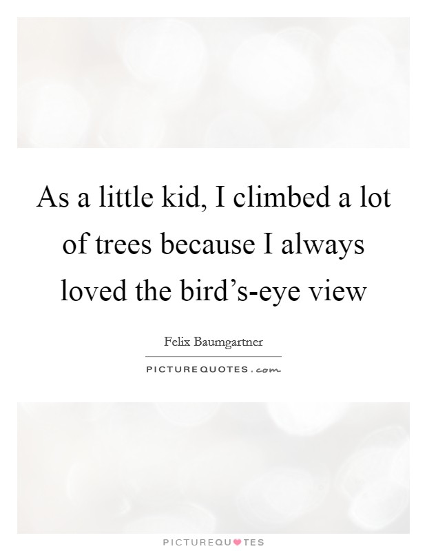As a little kid, I climbed a lot of trees because I always loved the bird's-eye view Picture Quote #1