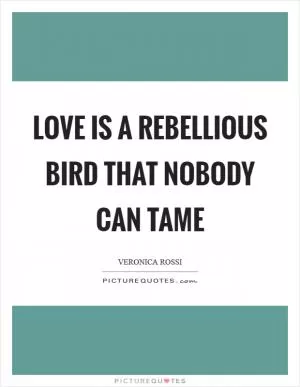 Love is a rebellious bird that nobody can tame Picture Quote #1