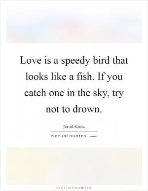 Love is a speedy bird that looks like a fish. If you catch one in the sky, try not to drown Picture Quote #1