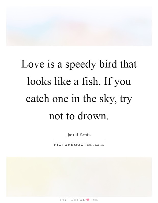 Love is a speedy bird that looks like a fish. If you catch one in the sky, try not to drown. Picture Quote #1