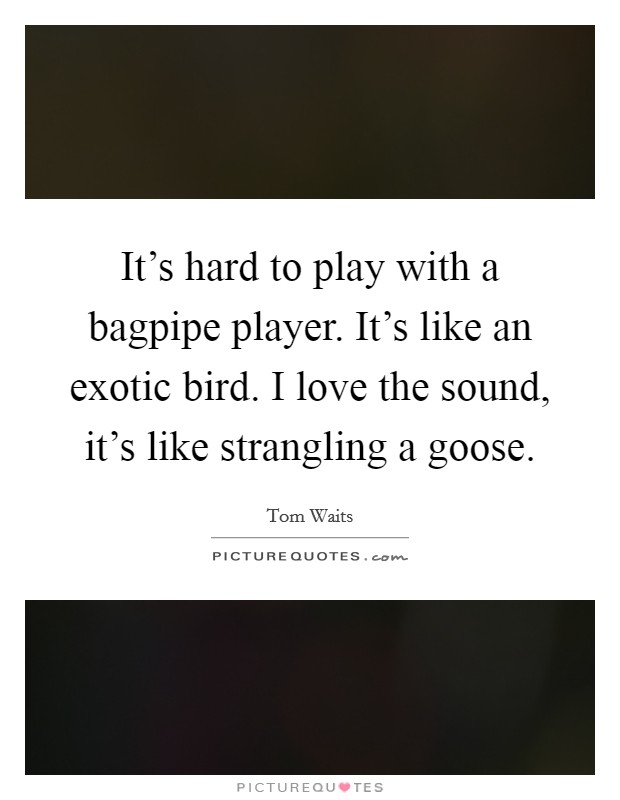 It's hard to play with a bagpipe player. It's like an exotic bird. I love the sound, it's like strangling a goose. Picture Quote #1