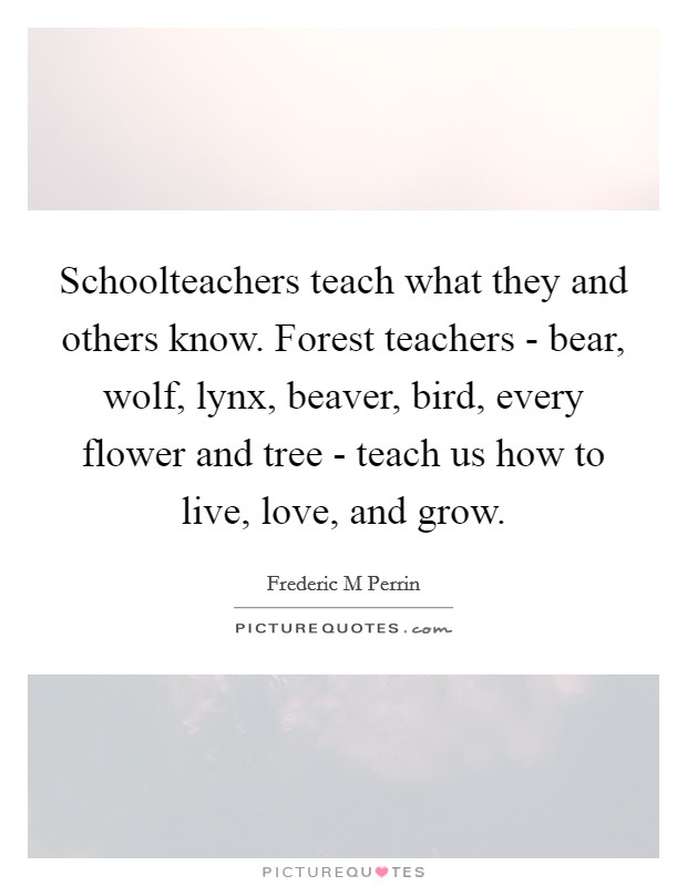 Schoolteachers teach what they and others know. Forest teachers - bear, wolf, lynx, beaver, bird, every flower and tree - teach us how to live, love, and grow. Picture Quote #1