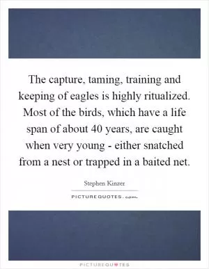 The capture, taming, training and keeping of eagles is highly ritualized. Most of the birds, which have a life span of about 40 years, are caught when very young - either snatched from a nest or trapped in a baited net Picture Quote #1