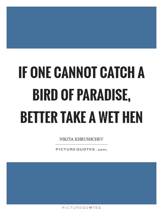 If one cannot catch a bird of paradise, better take a wet hen Picture Quote #1
