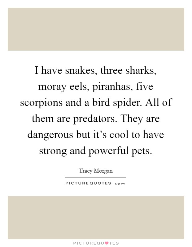 I have snakes, three sharks, moray eels, piranhas, five scorpions and a bird spider. All of them are predators. They are dangerous but it's cool to have strong and powerful pets. Picture Quote #1