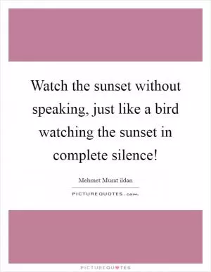 Watch the sunset without speaking, just like a bird watching the sunset in complete silence! Picture Quote #1